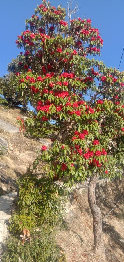 Chandarshila Hike Homestay Ukhimath Buitenkant foto