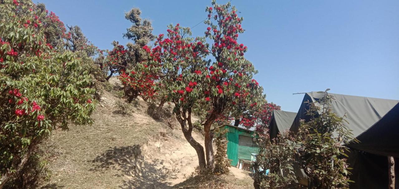 Chandarshila Hike Homestay Ukhimath Buitenkant foto